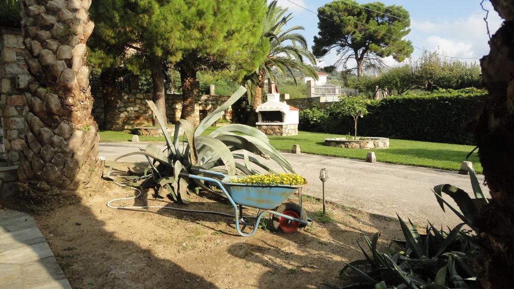 Melrose Aparthotel Bandar Skopelos Luaran gambar